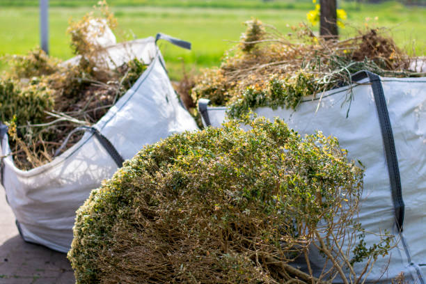 Best Household Junk Removal  in Nescopeck, PA